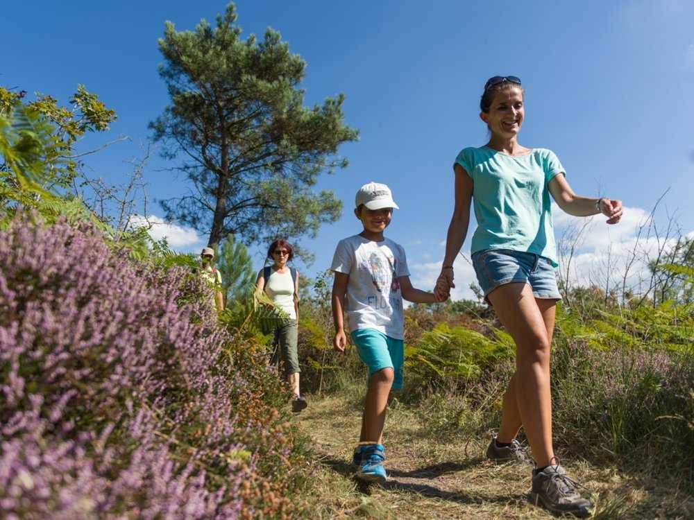 rando en Brocéliande