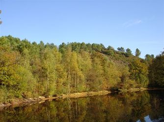 Le miroir aux fées