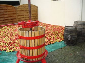 Fabrication du cidre maison